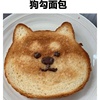 中就中