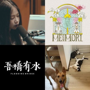 好欸