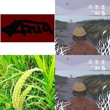 我的歌单 好听