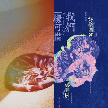 矮冷勇敢睡觉用