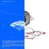 迷幻饶舌 PsyRap