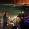 漫声之林