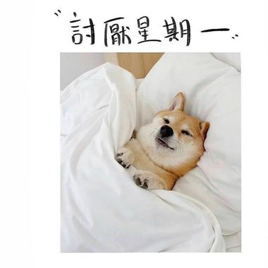 途中