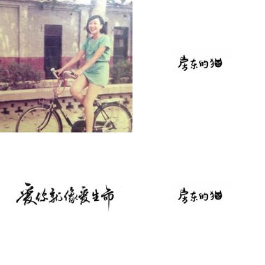 房东的猫
