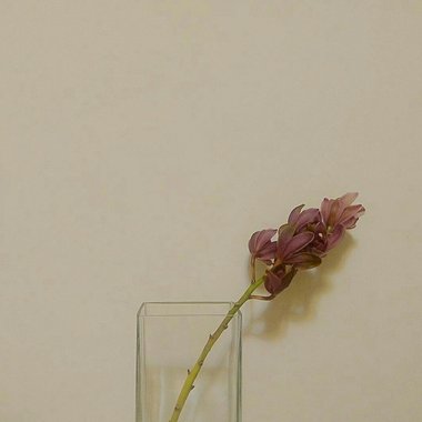 我的歌单  