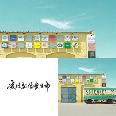 房东的猫