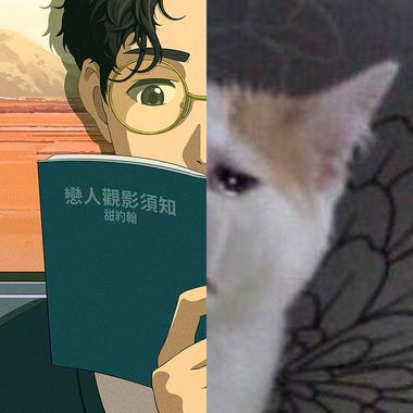 听听看