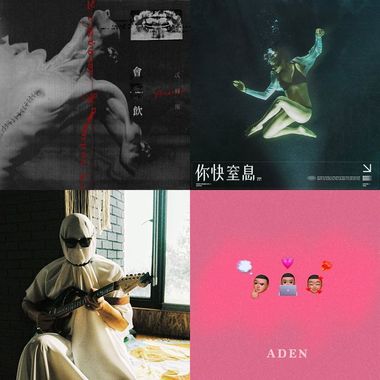 会爱的那种
