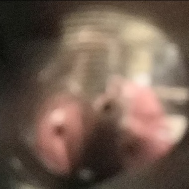 人生大事