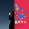 公开