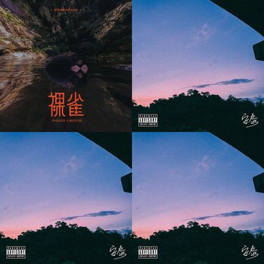 粉色的海豚在家里自由的移动像是不再被水困住那样，但我想把他们赶回笼子。