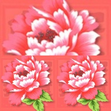 甜梅号