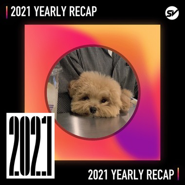2021 个人年度精选之最