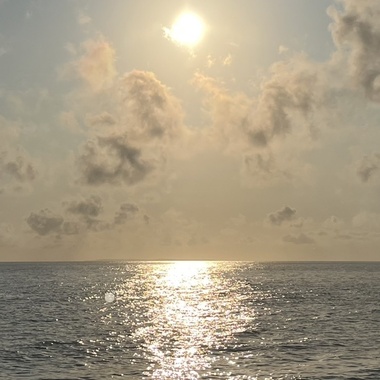 🌅