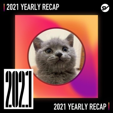 2021 个人年度精选之最