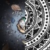 嫁给我吧! 11 首最浪漫求婚必胜歌曲