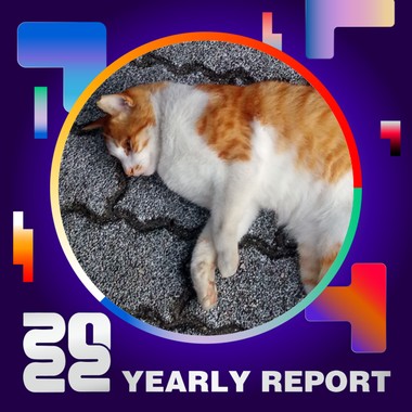 2022 个人年度精选