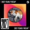 2021 个人年度精选之最