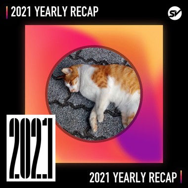 2021 个人年度精选之最