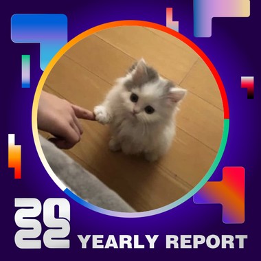 2022 个人年度精选