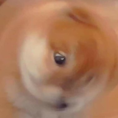 偶ㄉ歌单ヾ(｡>﹏<｡)ﾉﾞ✧*。