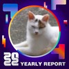 2022 个人年度精选