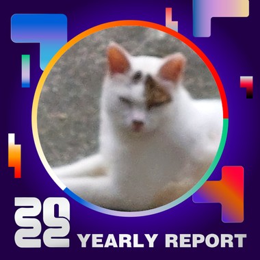 2022 个人年度精选