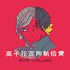 我的歌单 2