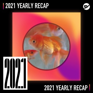 2021 个人年度精选之最