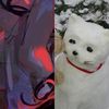 听歌