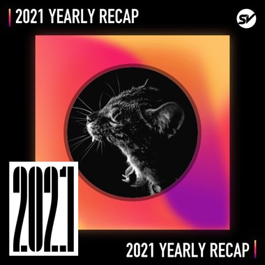 2021 个人年度精选之最