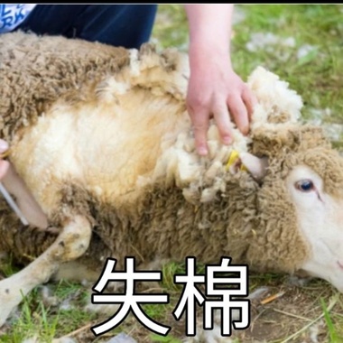 另一个