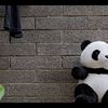 赞
