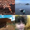 岳来岳狗