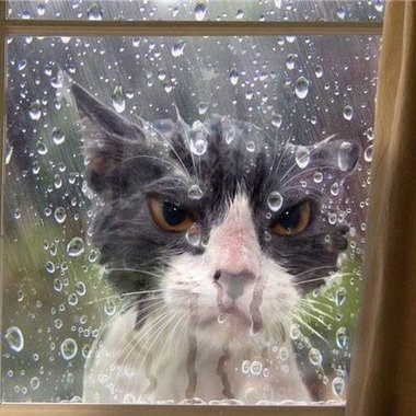下雨ㄉ时候