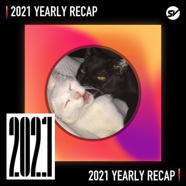 2021 个人年度精选之最