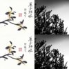 原子邦妮