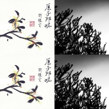 原子邦妮