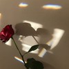 🥀