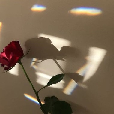🥀