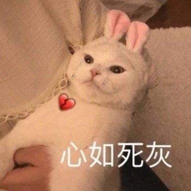 悲 :(