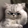 00000090uu