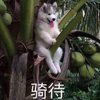 蔚o
