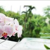 她来听我的演唱会