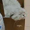 10LY