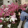 ting_yu_ya