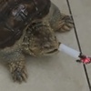 1111