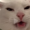 盖比ㄦ