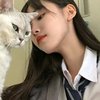 木林