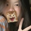 是羊驼欸.